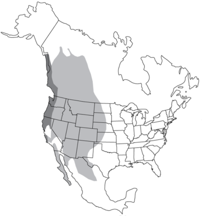 Deer Center for Wildlife Damage Management