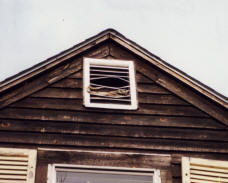 Raccoon bent attic vent to enter building.